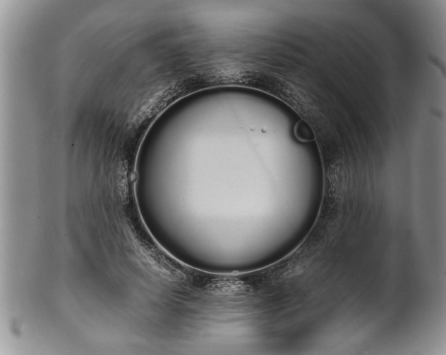 X0000102260642200808011405