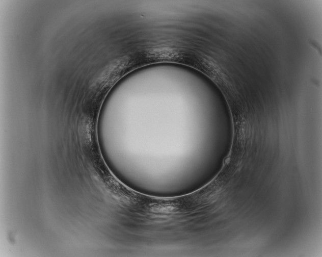 X0000102260643200808011405