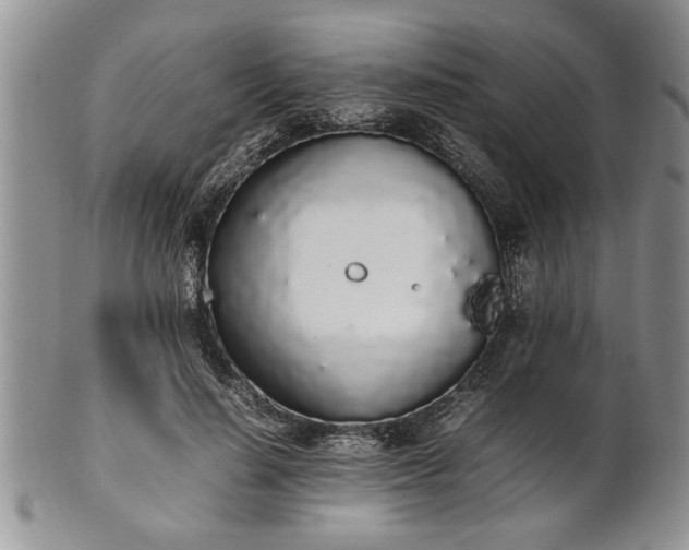 X0000102260644200808011405