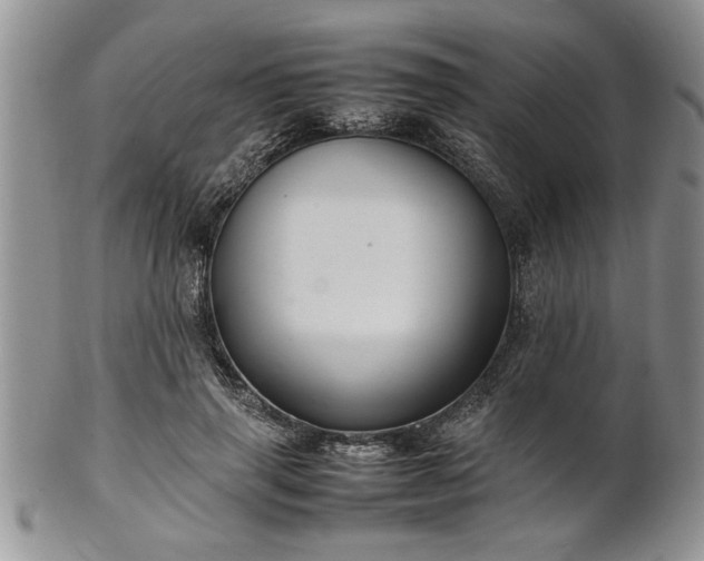 X0000102260645200808011405