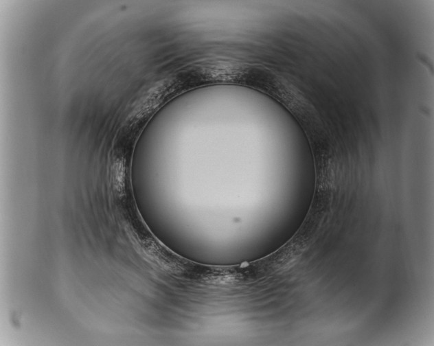 X0000102260646200808011405