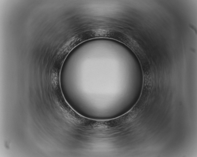 X0000102260648200808011405