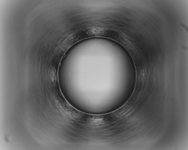 X0000102260651200808011406