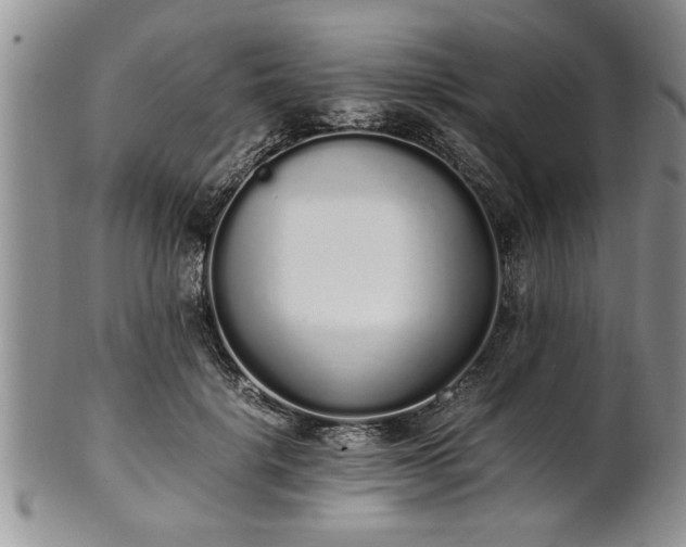 X0000102260652200808011406