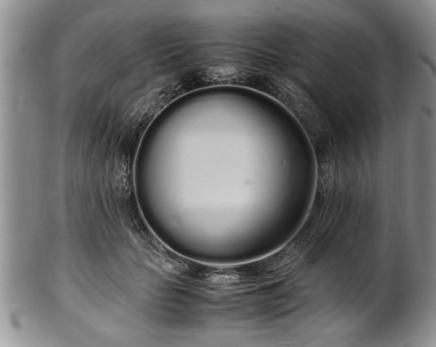 X0000102260653200808011406