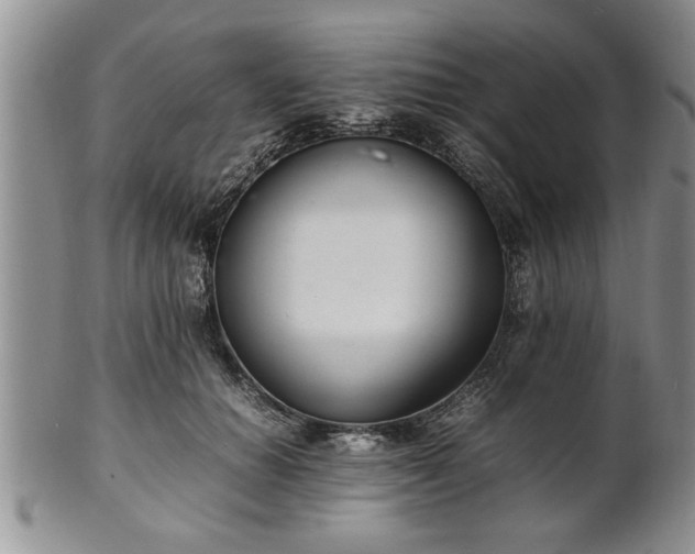 X0000102260654200808011406