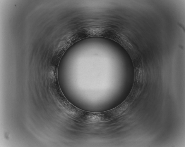 X0000102260655200808011406