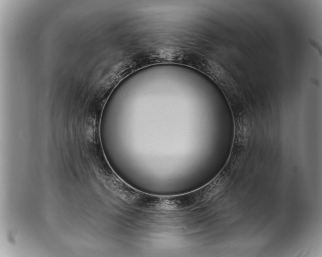 X0000102260656200808011406