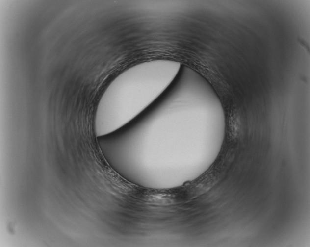 X0000102260657200808011406