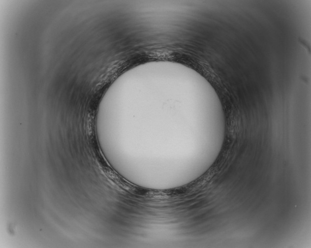 X0000102260658200808011406