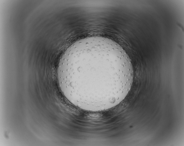 X0000102260659200808011406