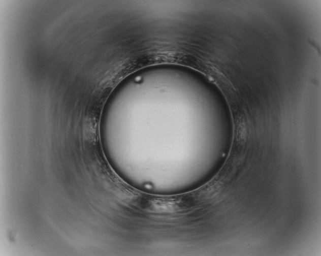 X0000102260661200808011406