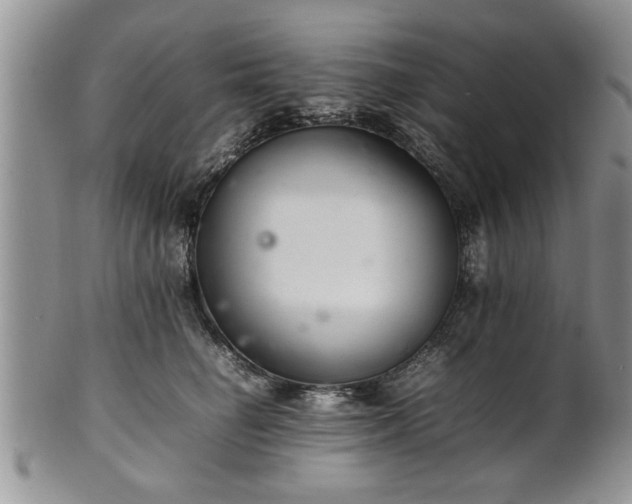 X0000102260662200808011406