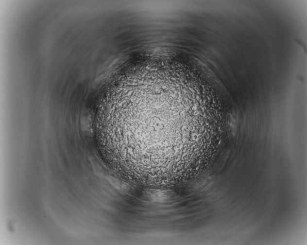 X0000102260663200808011406