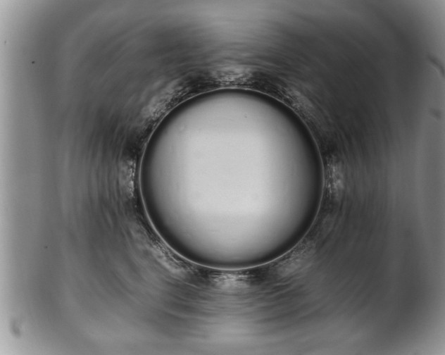 X0000102260664200808011406