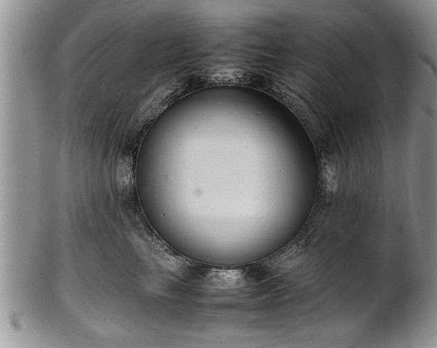 X0000102260665200808011406