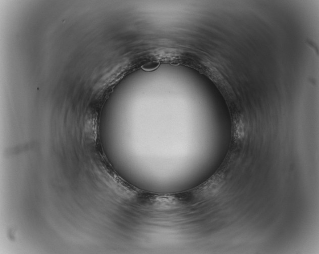 X0000102260666200808011406