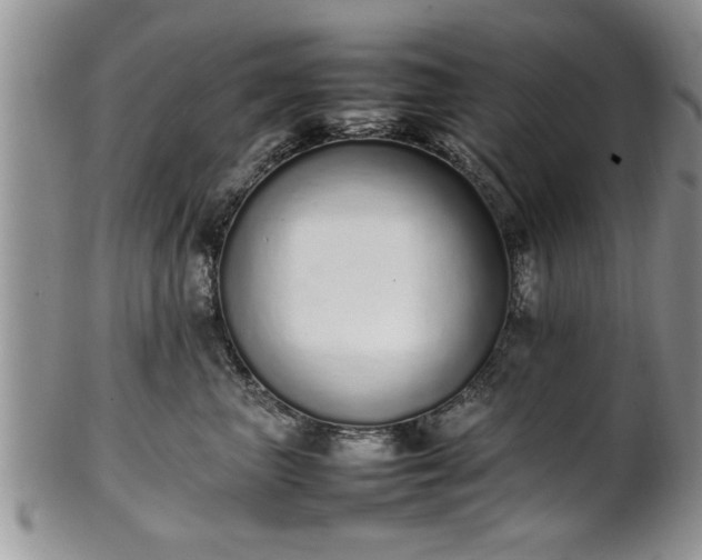 X0000102260667200808011406