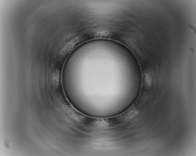 X0000102260668200808011406