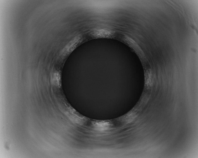 X0000102260669200808011406