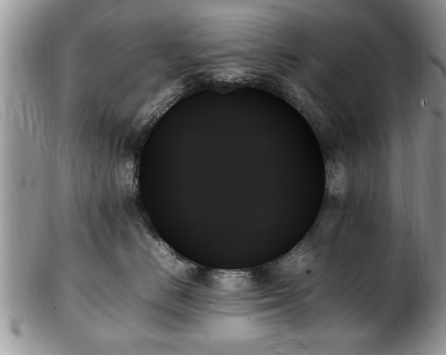 X0000102260670200808011406