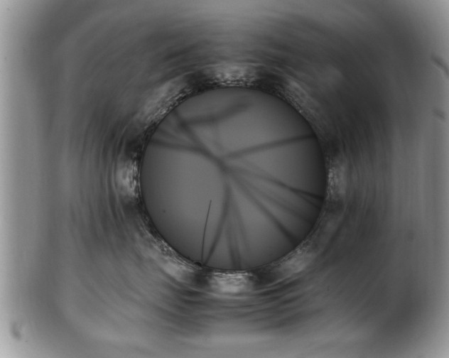 X0000102260671200808011406