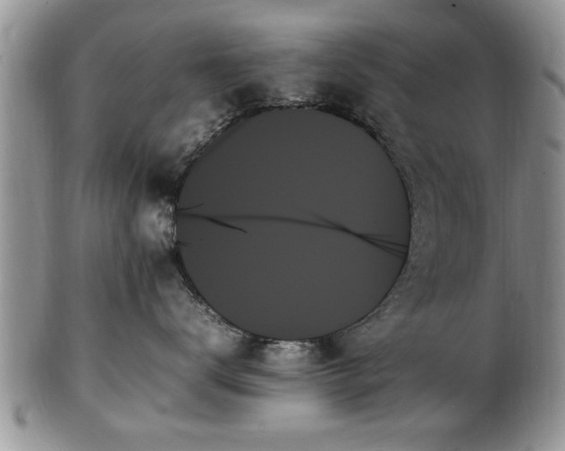 X0000102260672200808011406