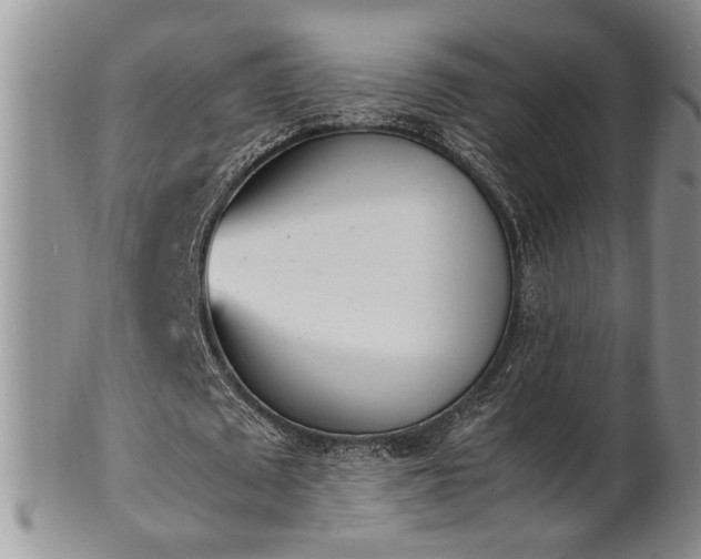 X0000102260673200808011405