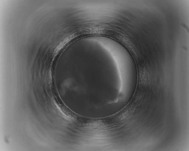 X0000102260674200808011405