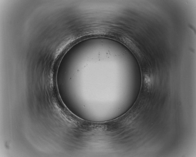 X0000102260676200808011405