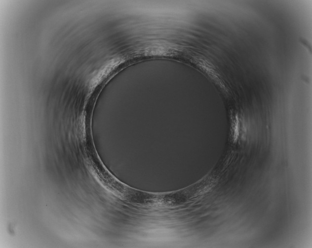 X0000102260678200808011405