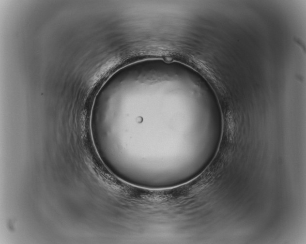 X0000102260679200808011405