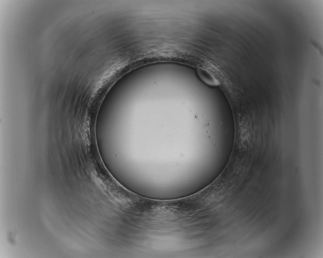 X0000102260680200808011405