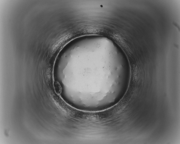 X0000102260683200808011405