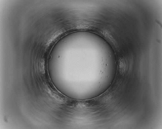 X0000102260684200808011405