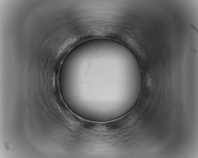 X0000102260685200808011405