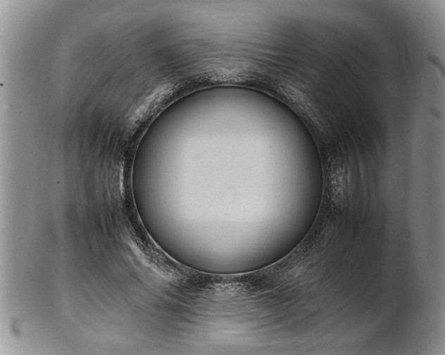 X0000102260686200808011405