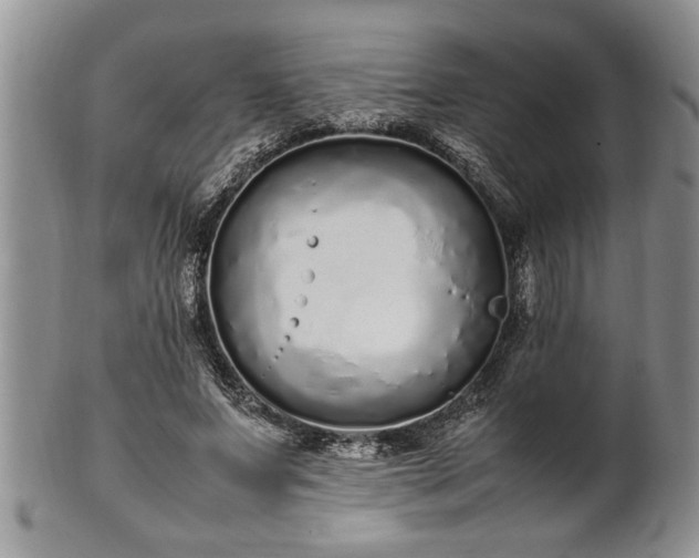 X0000102260687200808011405