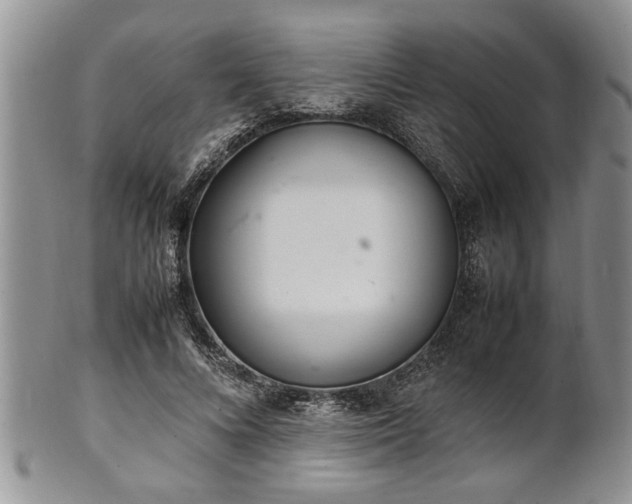 X0000102260688200808011405