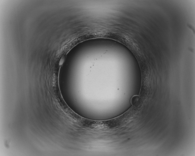 X0000102260689200808011405