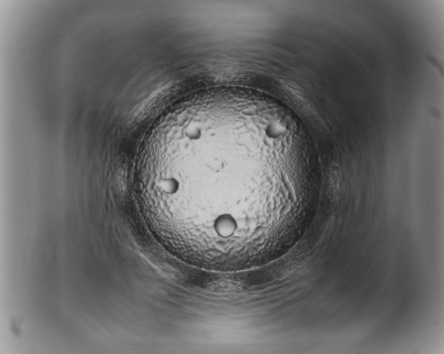 X0000102260691200808011405