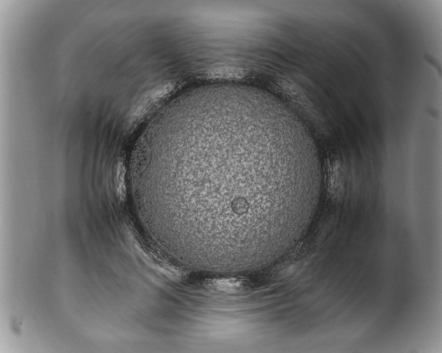 X0000102260692200808011405