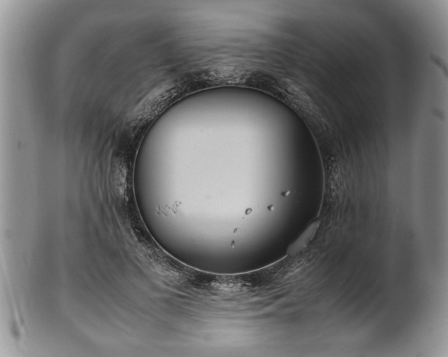 X0000102260693200808011405