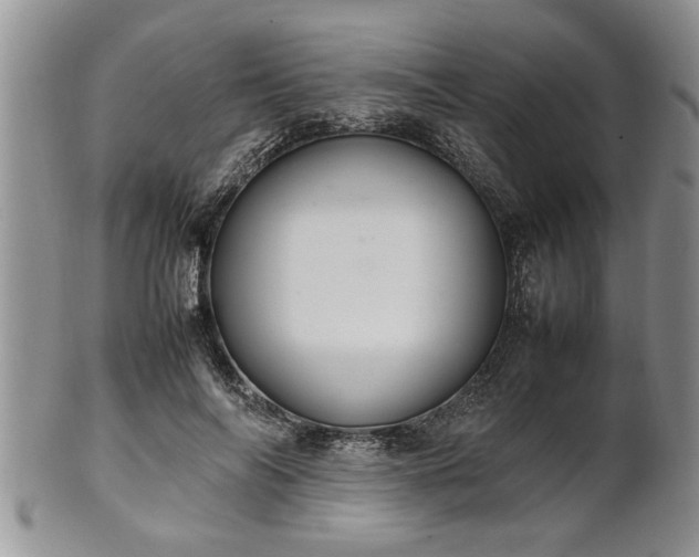 X0000102260694200808011405