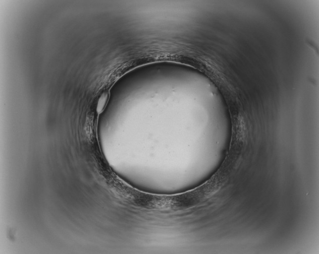 X0000102260695200808011405