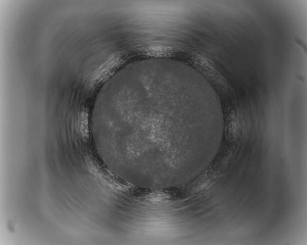 X0000102260696200808011405