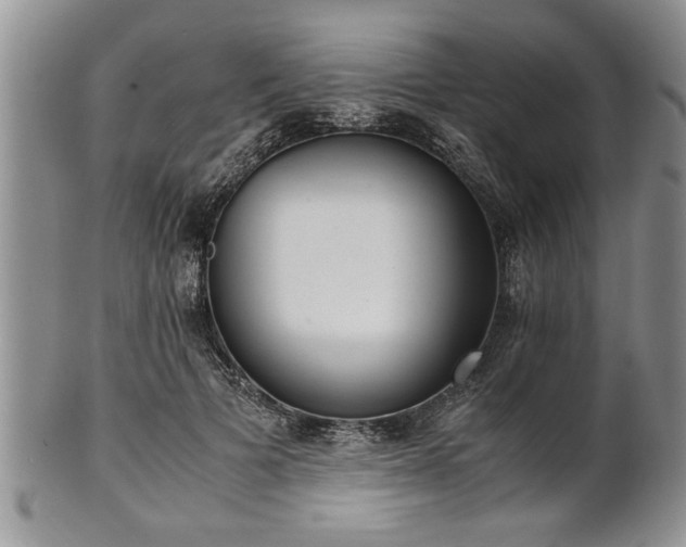 X0000102260697200808011405