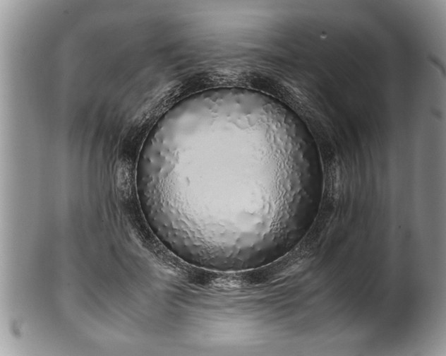 X0000102260699200808011405