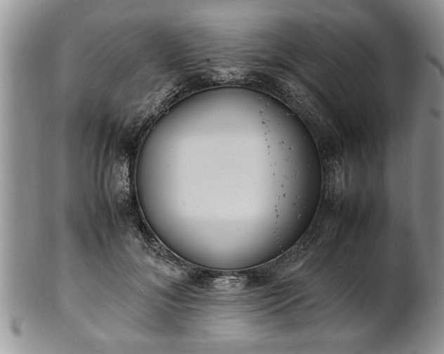 X0000102260700200808011405