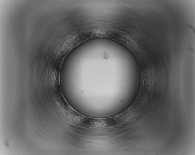 X0000102260702200808011405